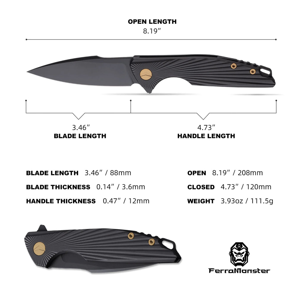 AURORA RAYS (FM23002-C)