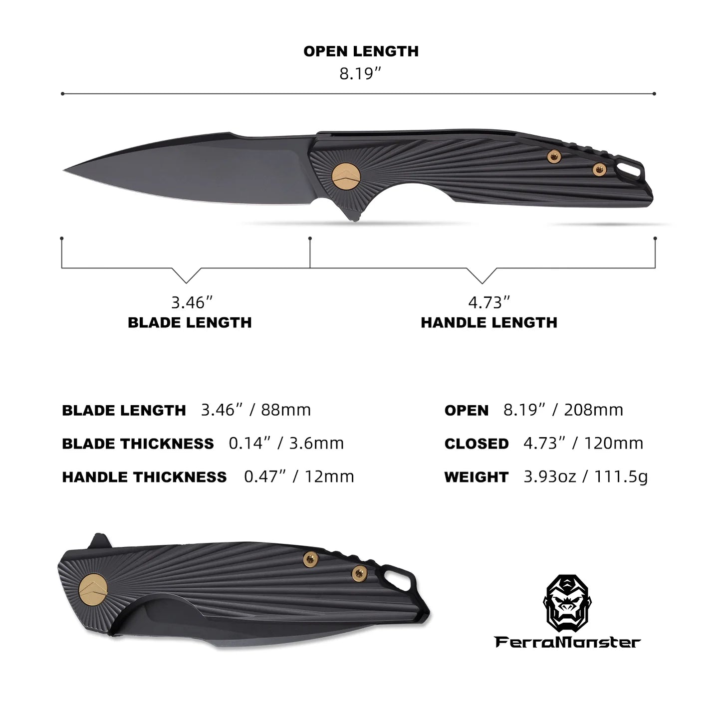 AURORA RAYS (FM23002-C)