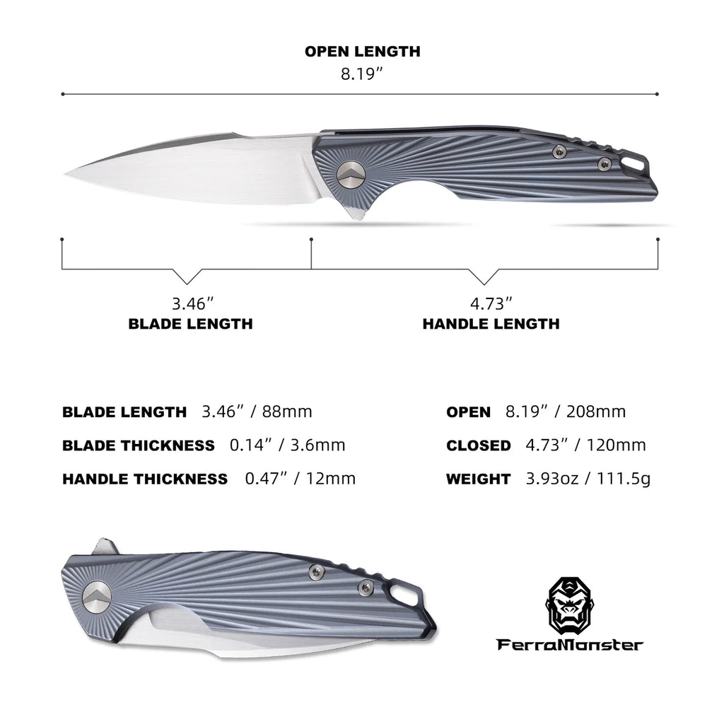 AURORA RAYS (FM23002-D)