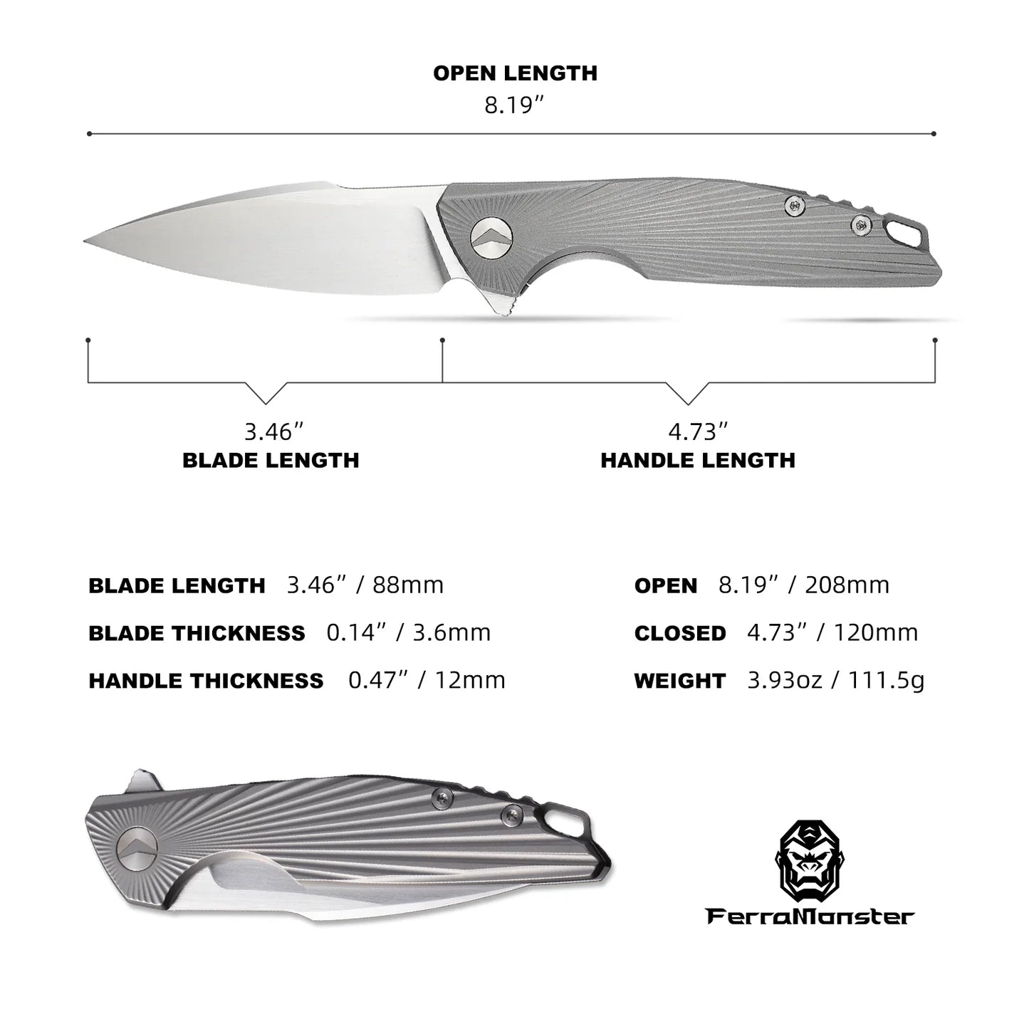 AURORA RAYS (FM23002-A)